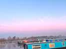 A morning view