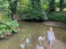 Stream for a paddle, loved this! frogs & newts typically seen x