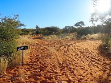Road towards red dune camp